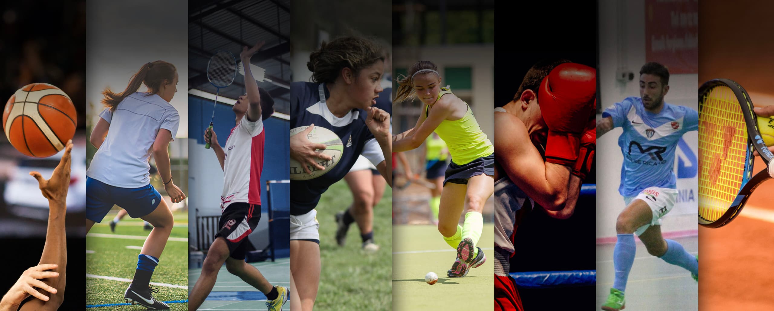 Multi sport cover x2 B